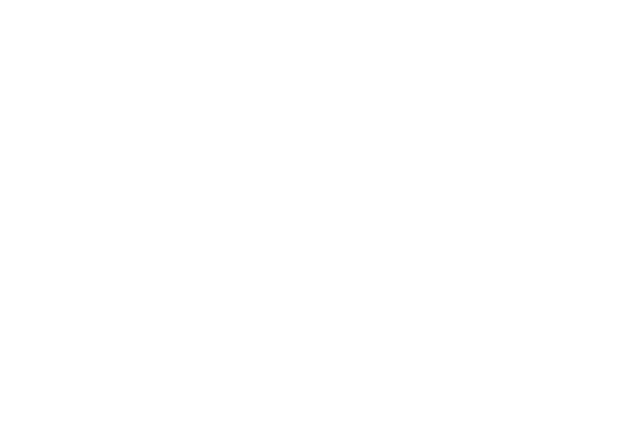 Dimos Piraia logo