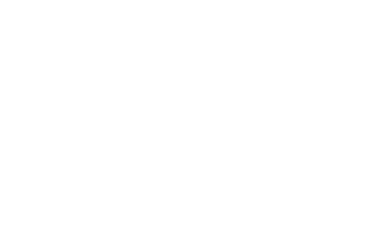 Paros logo